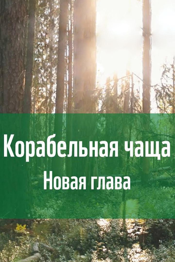 Корабельная чаща. Новая глава