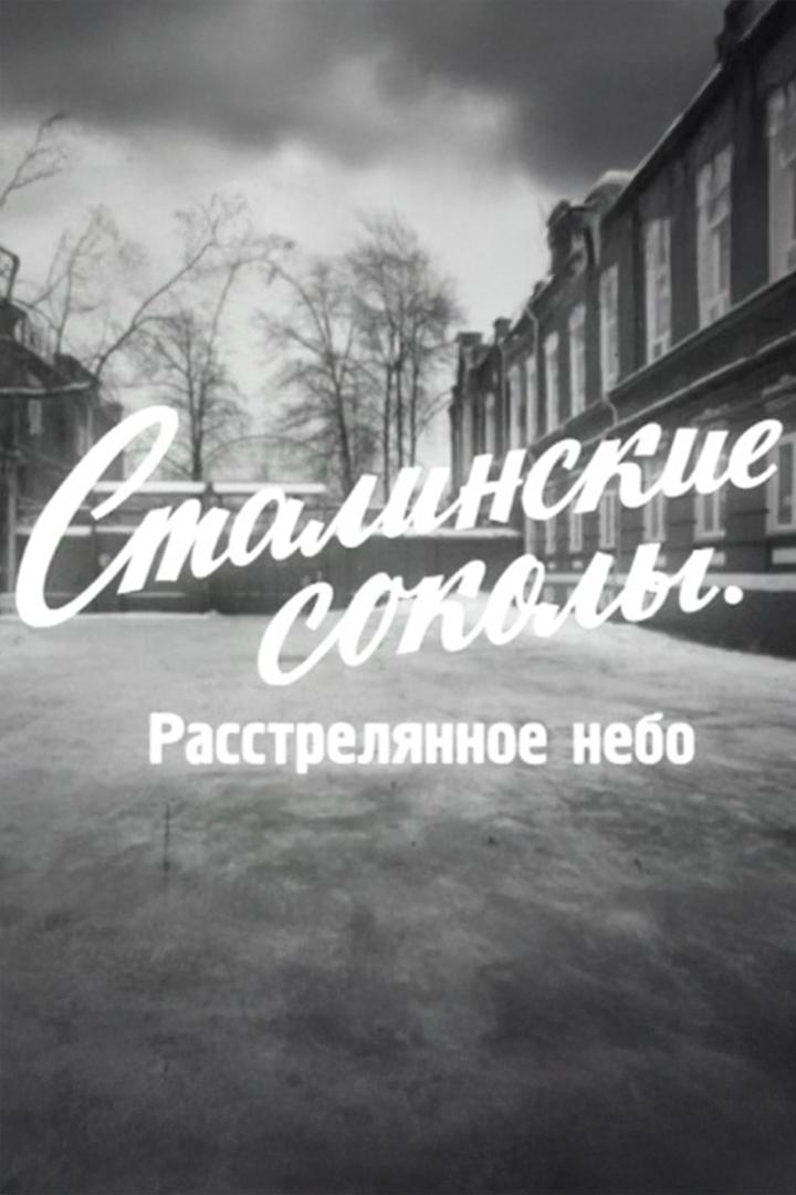Сталинские соколы. Расстрелянное небо