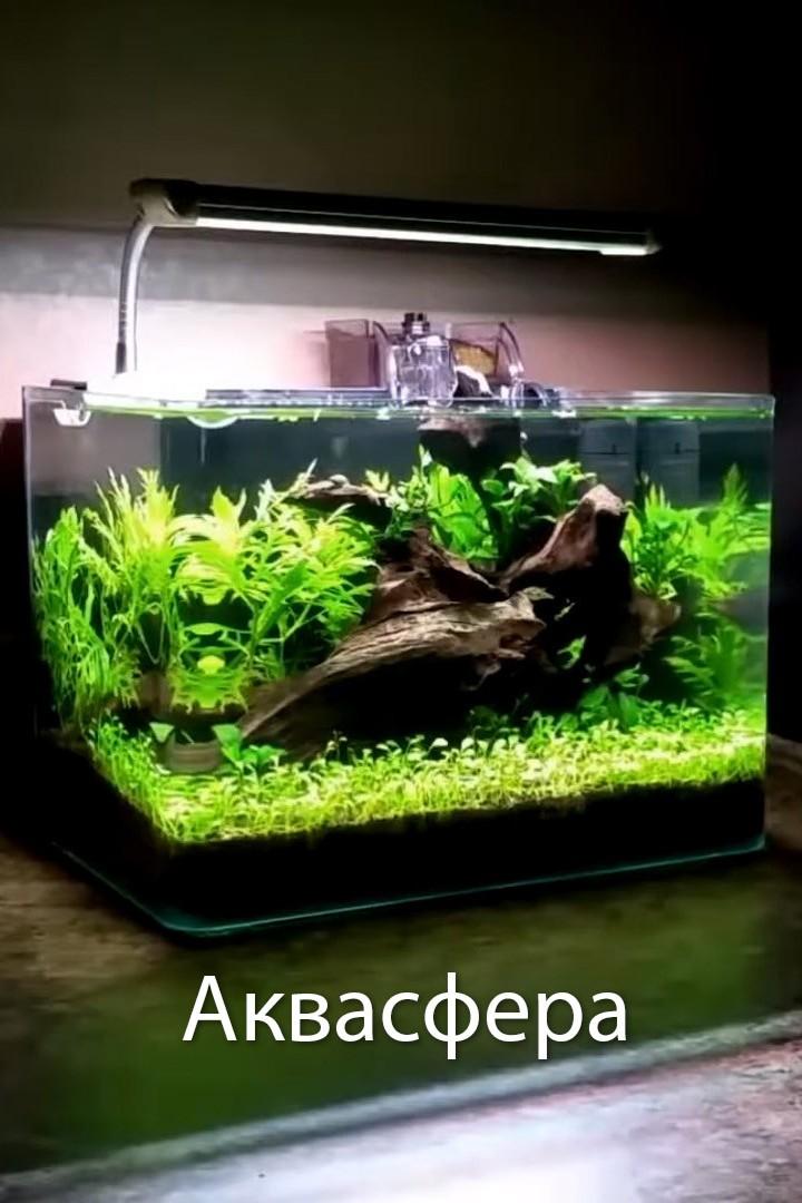 Аквасфера