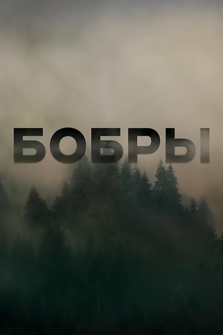 Бобры