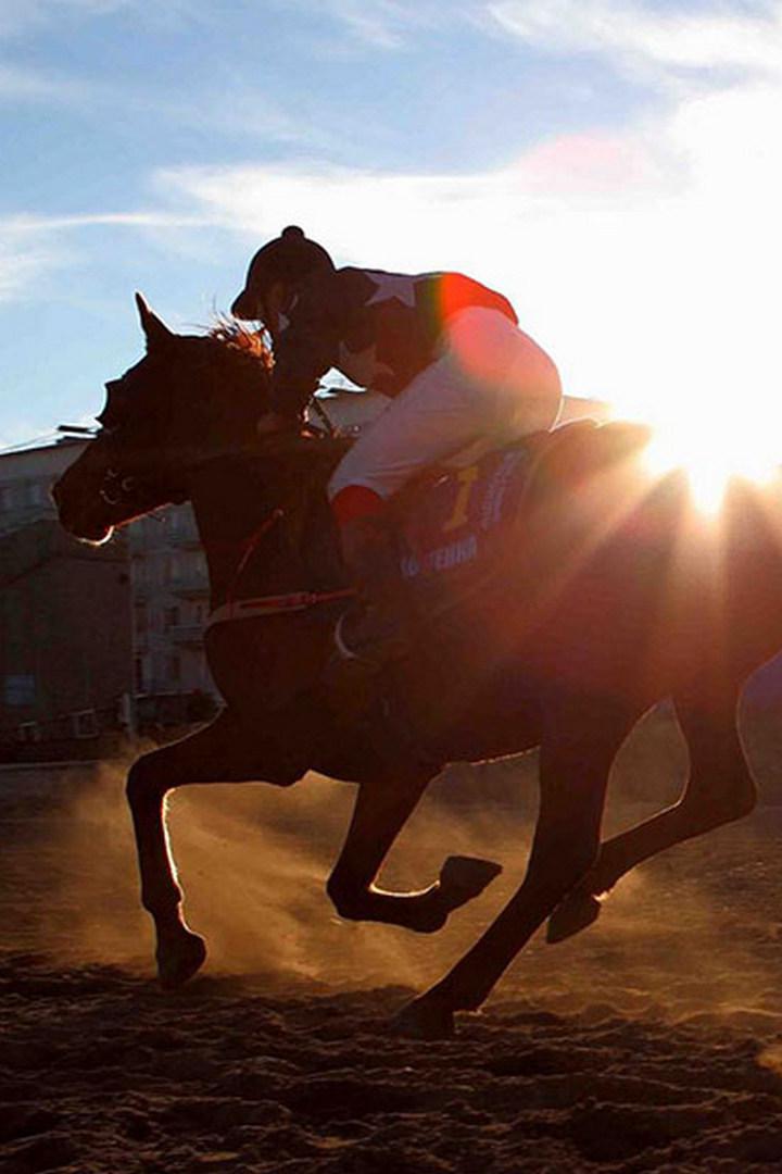 Cтипль-чез. "Ladbrokes Gold Cup". Трансляция из Англии