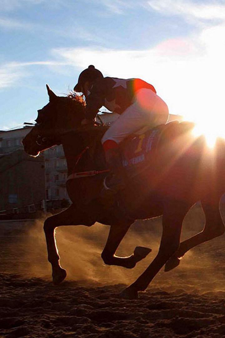 Cтипль-чез. "Betfair Chase". Трансляция из Англии