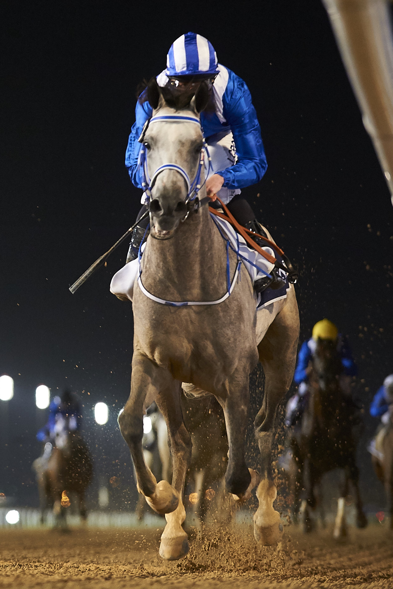 Скачки. "Dubai World Cup Carnival". 7-й этап. Трансляция из ОАЭ