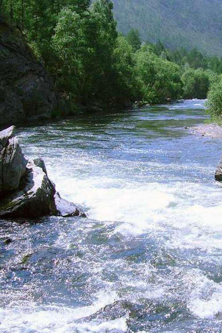 Река Сарма