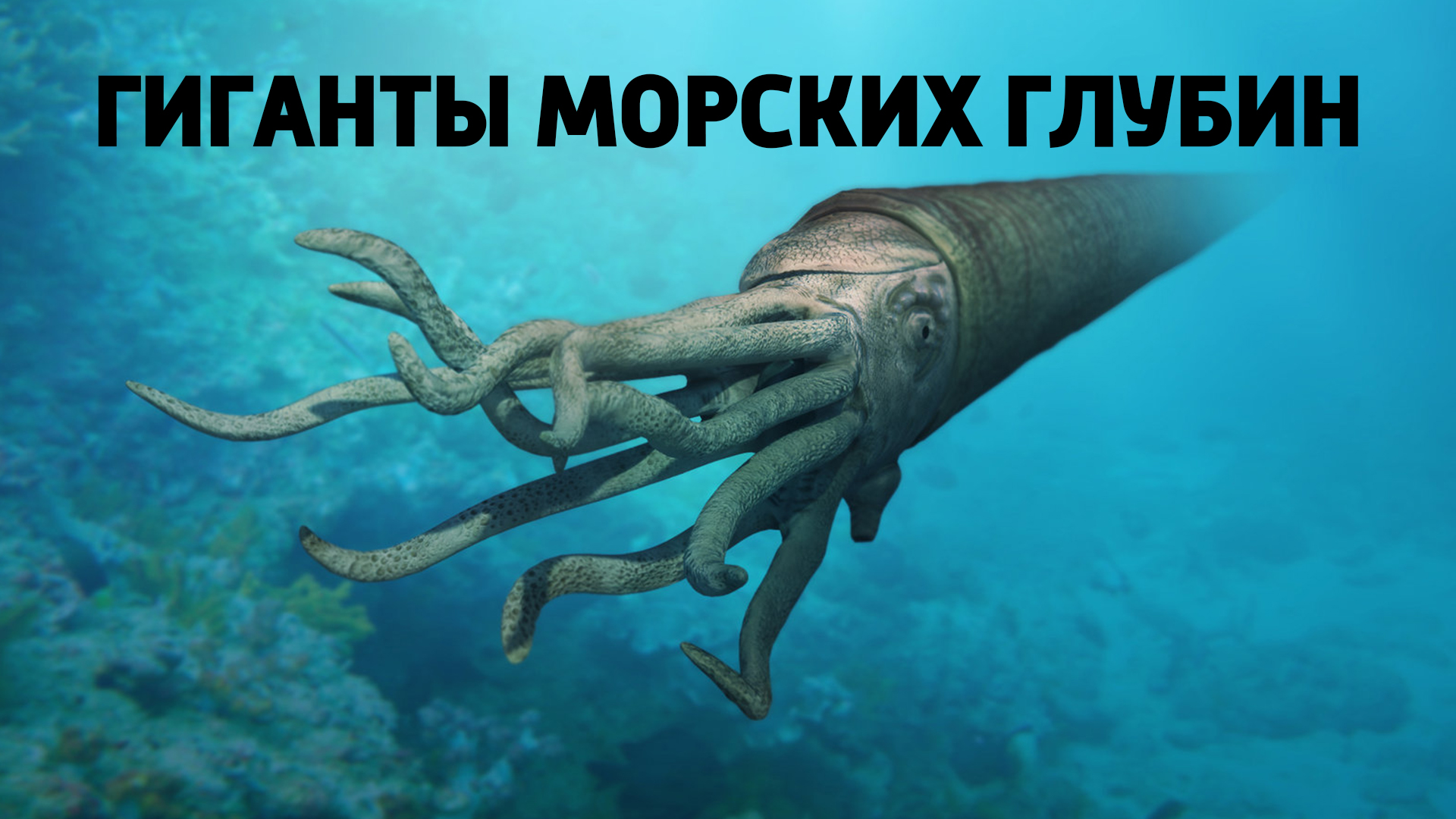 Гиганты морских глубин