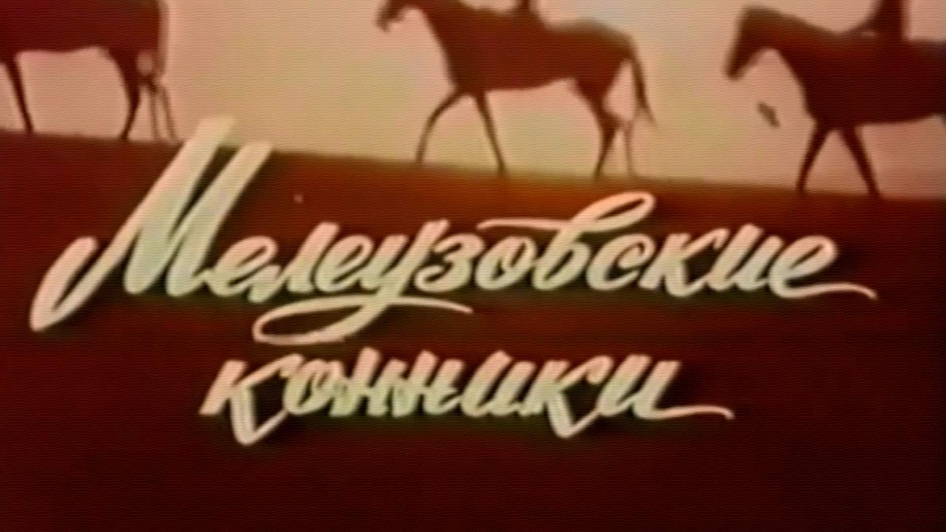 Мелеузовские конники