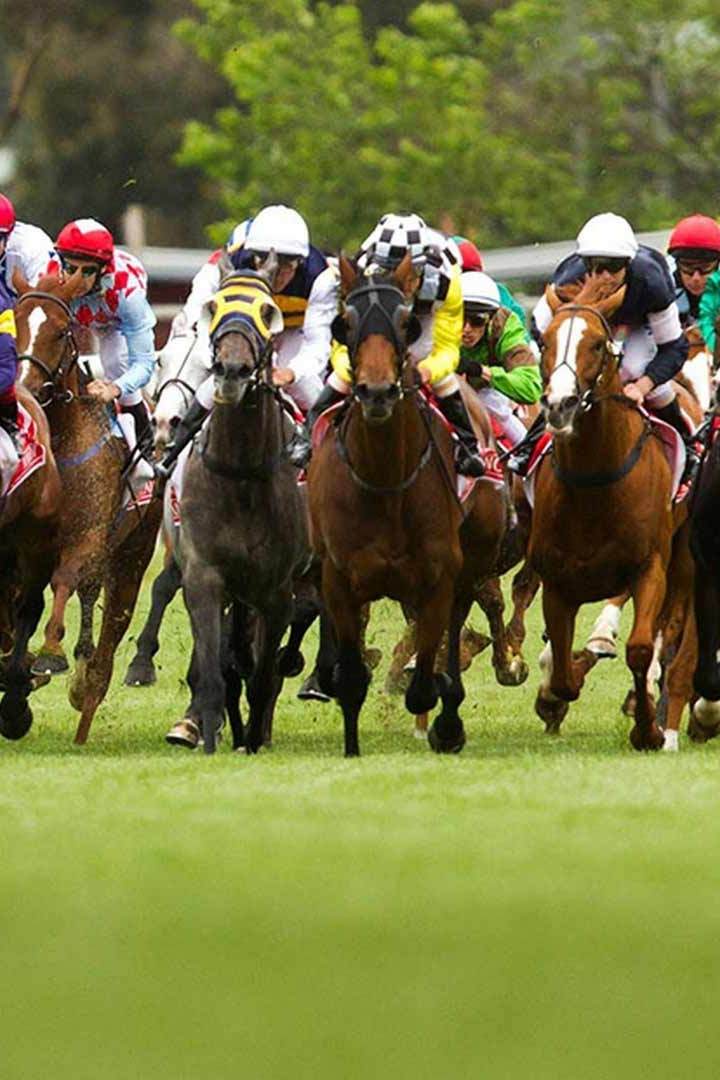 Скачки. The Nassau Stakes. Трансляция из Англии