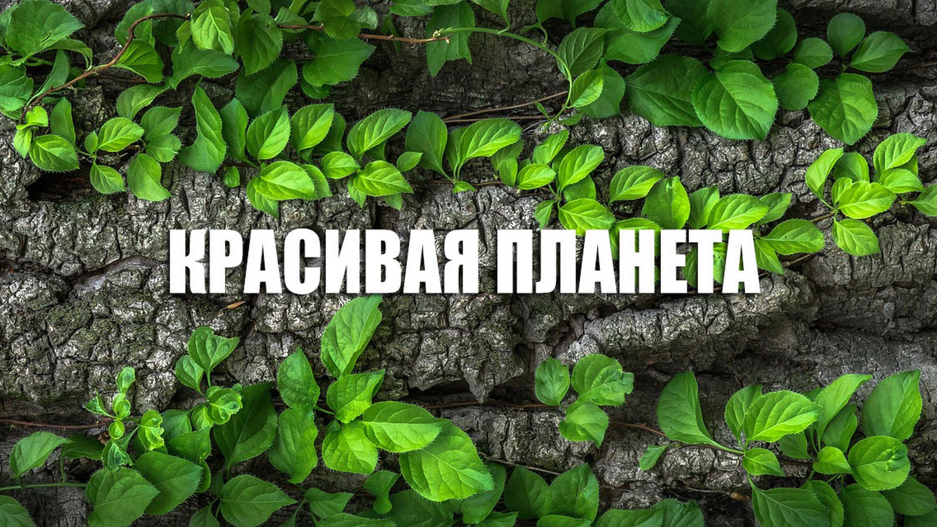 Красивая планета