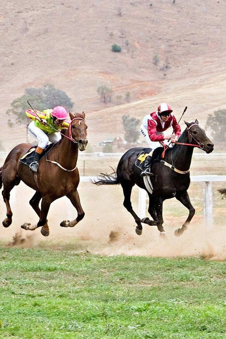 Скачки. "Doomben Cup". Трансляция из Австралии