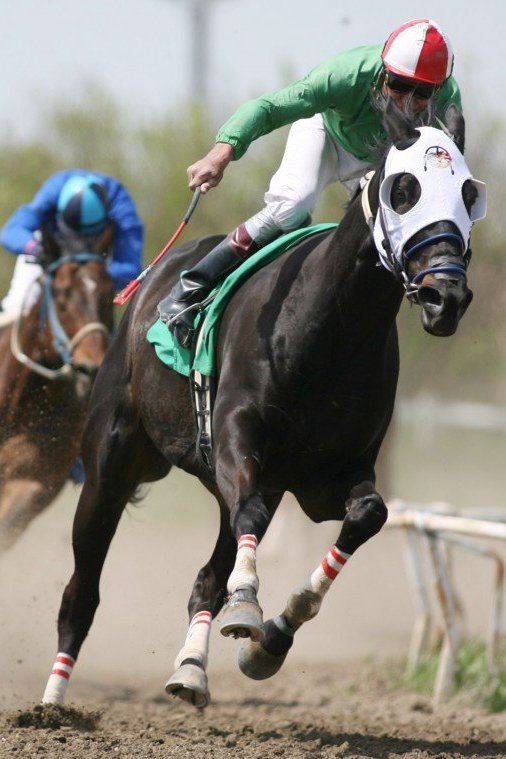 Скачки. "Stradbroke Handicap Day". Трансляция из Австралии