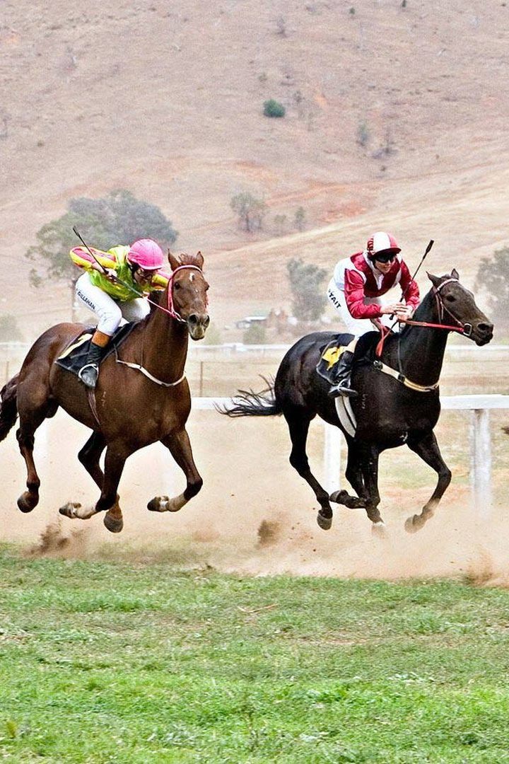 Скачки. "The Investec OAKS and Derby". Трансляция из Англии