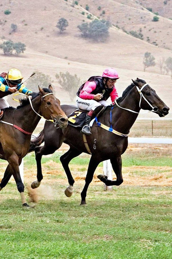 Скачки. "Deutsches Derby". Трансляция из Германии