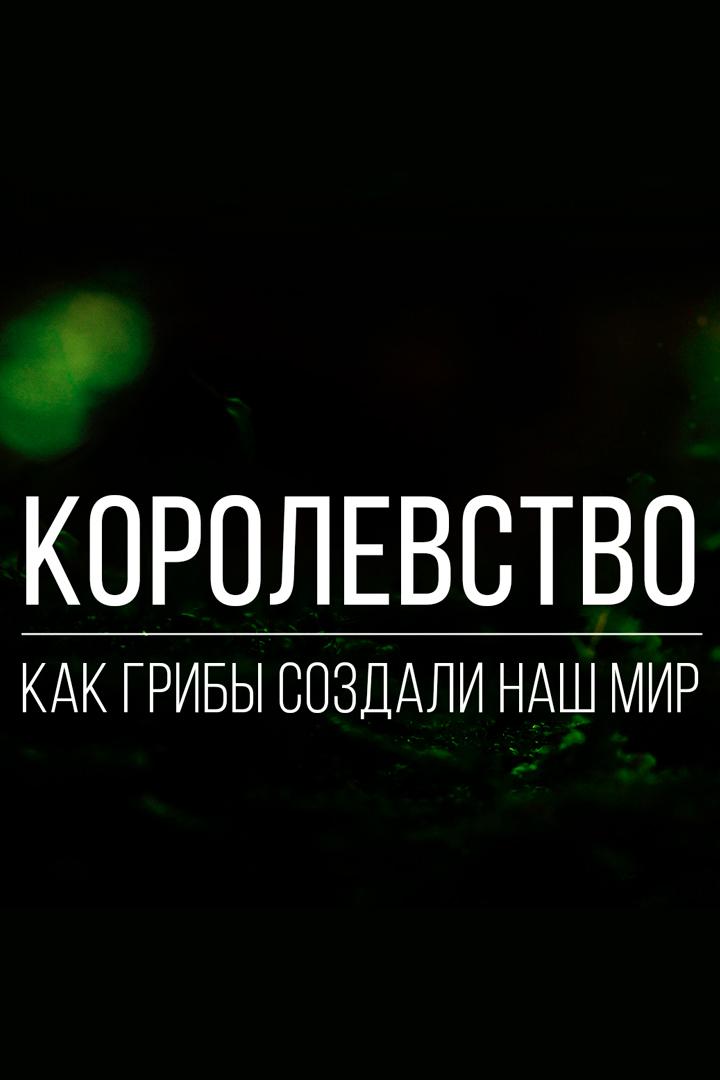 Королевство. Как грибы создали наш мир