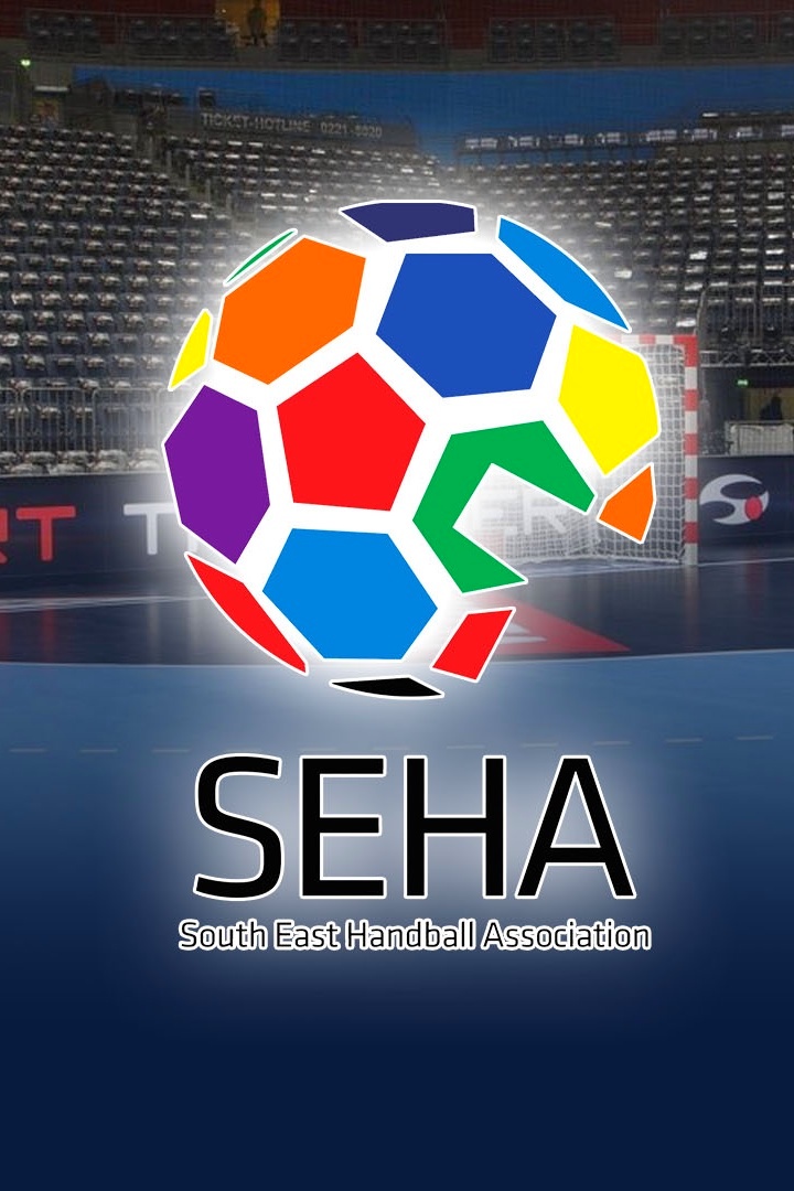 Гандбол. SEHA-Газпром Лига. Мужчины. "Финал 4-х". Финал