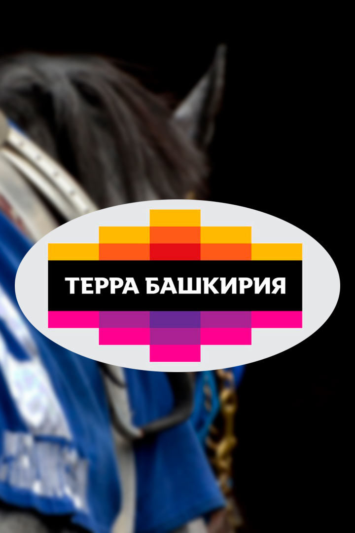 Скачки. "Терра-Башкирия". 12-й этап. Трансляция из Уфы