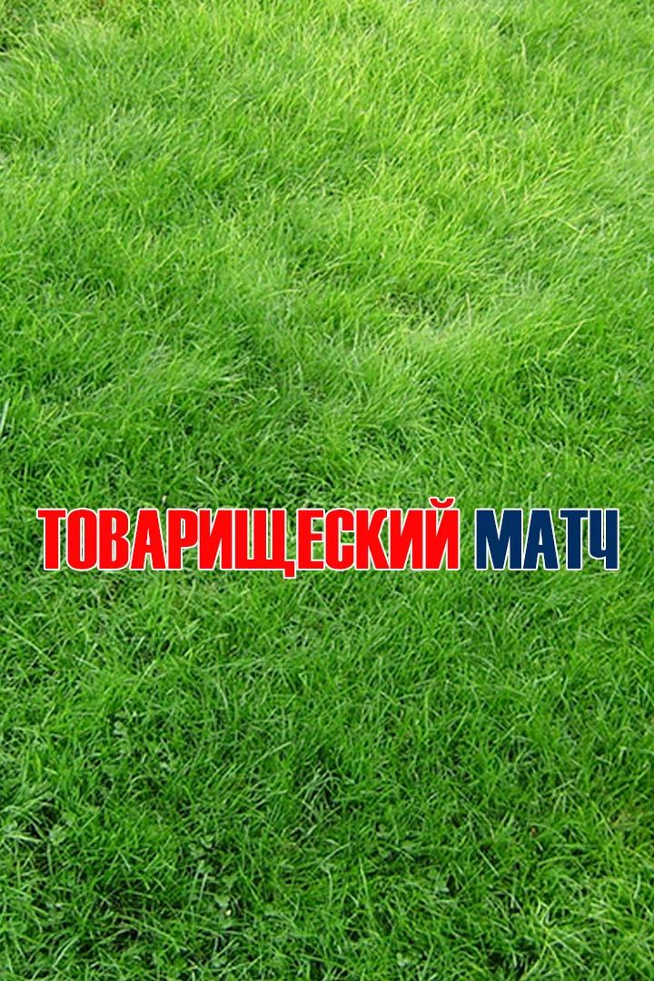 Футбол. Товарищеский матч. Франция - Украина