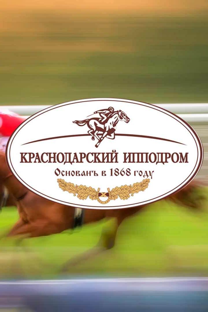 Павловские скачки. Закрытие скакового сезона. Трансляция из Краснодарского края