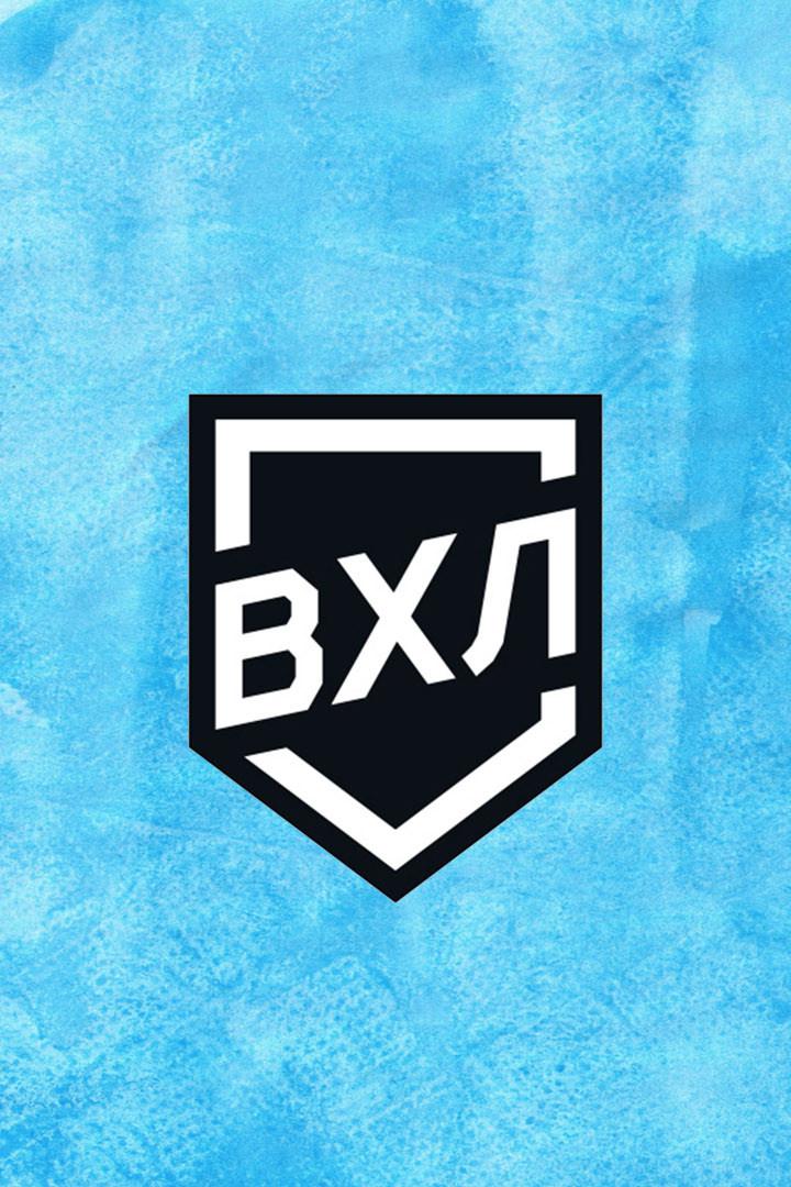 Хоккей. ВХЛ. Плей - офф. Динамо СПб - Барс