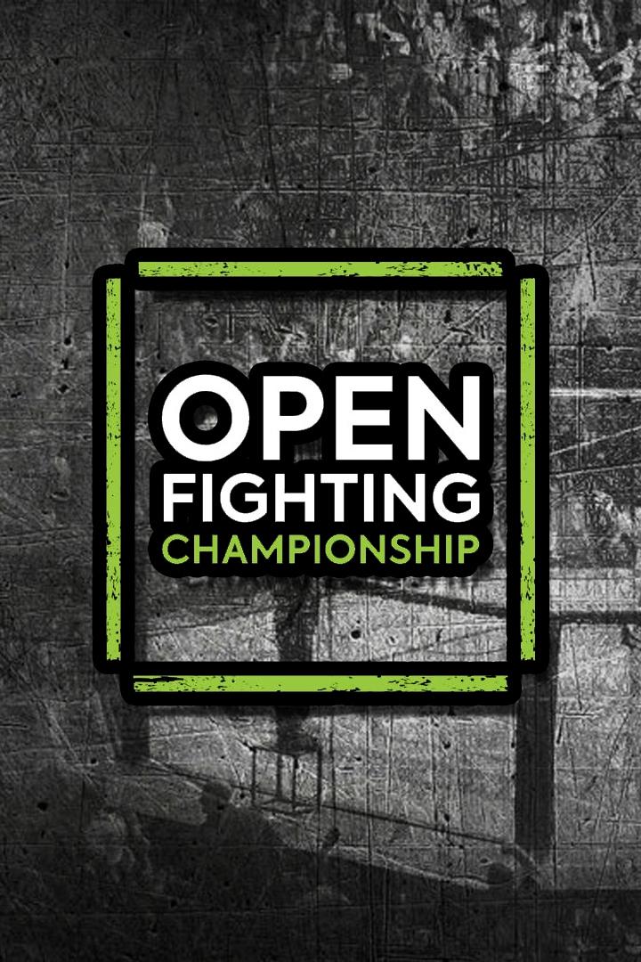 MMA. Open Fighting Championship 2