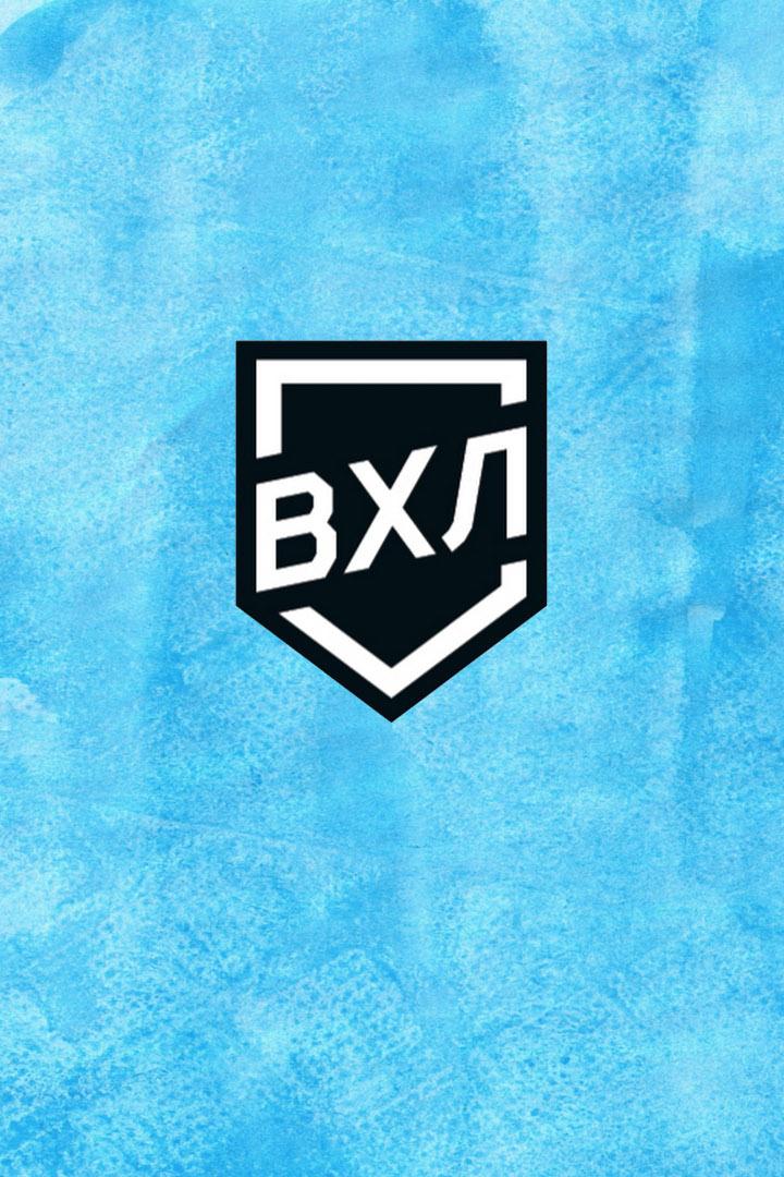 Хоккей. ВХЛ. Рубин - Горняк
