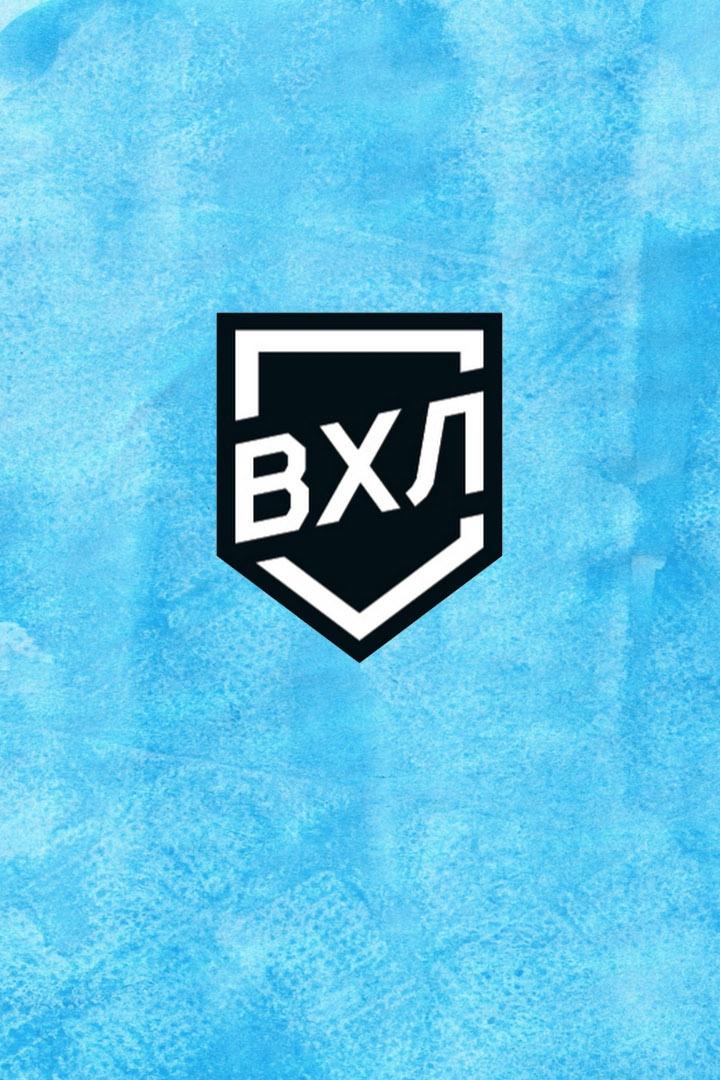 Хоккей. ВХЛ. Плей-офф. Динамо МО - Югра. Игра 5