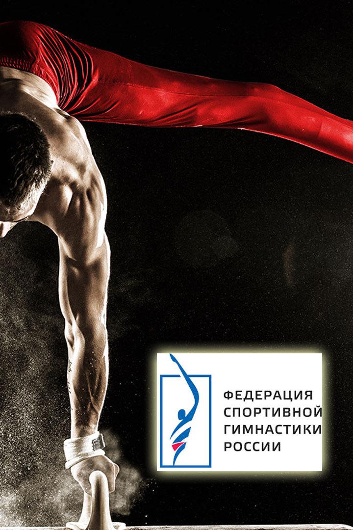 Кубок России по спортивной гимнастике. Отдельные дисциплины