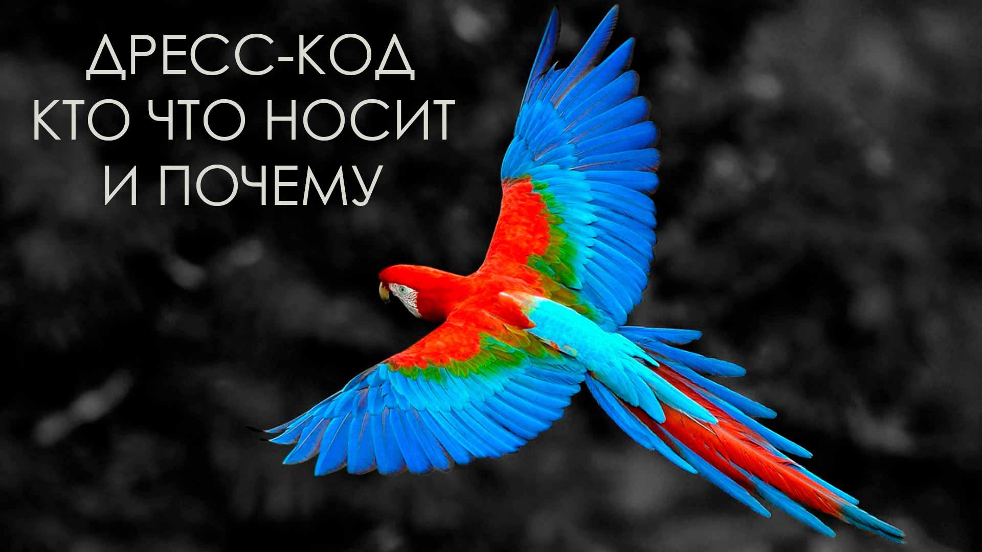 Дресс-код. Кто что носит и почему