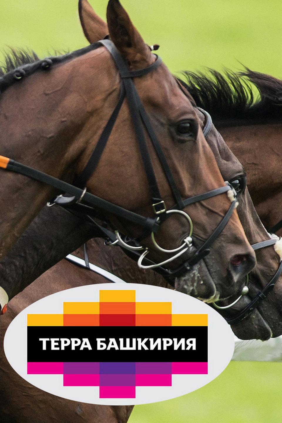 Скачки. Турнир Терра Башкирия 2020. 11 этап