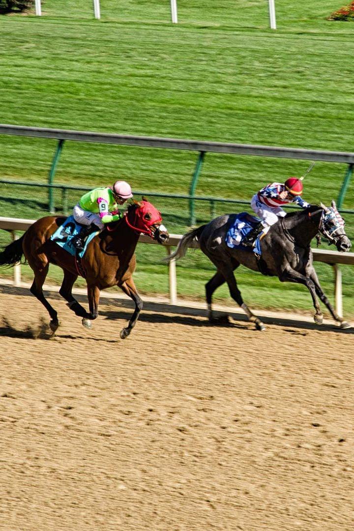 Скачки."Lockinge Stakes". Трансляция из Англии