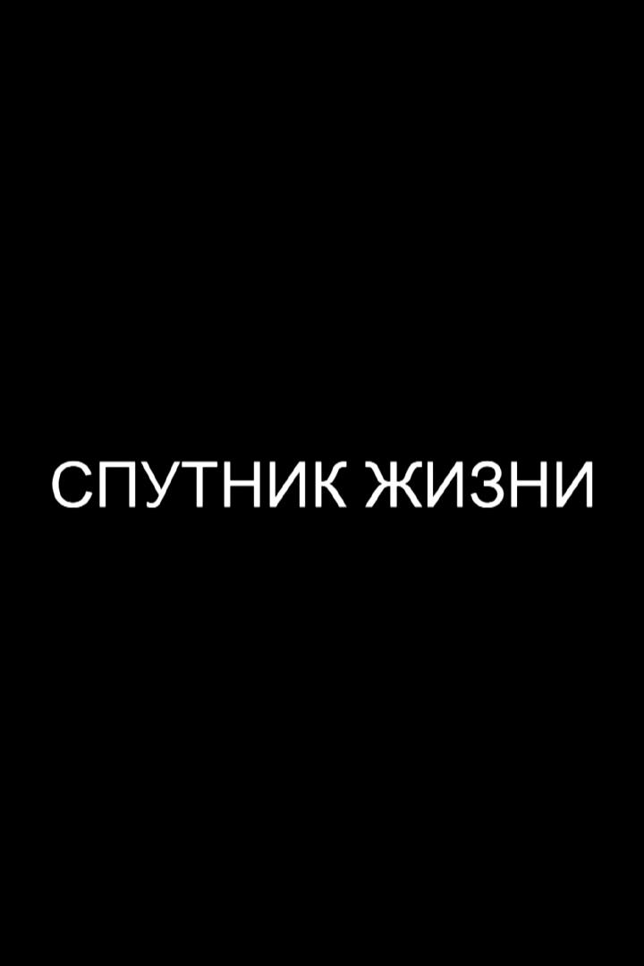 Спутник жизни