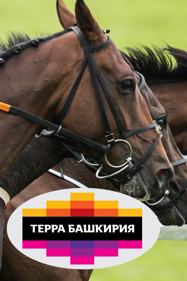 Скачки. Турнир Терра Башкирия 2021. 3 этап