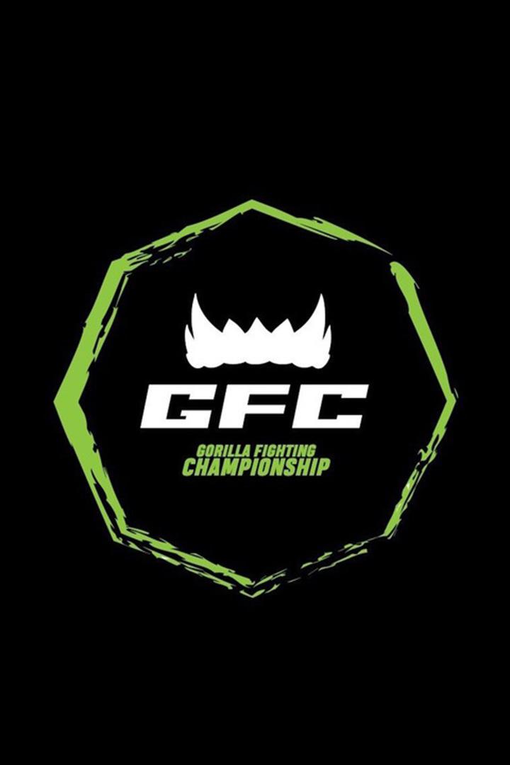 Смешанные единоборста. Gorillas Fighting Championship 25
