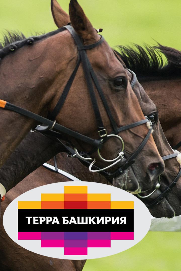 Скачки. Конноспортивный турнирп Терра Башкирия. 7 этап