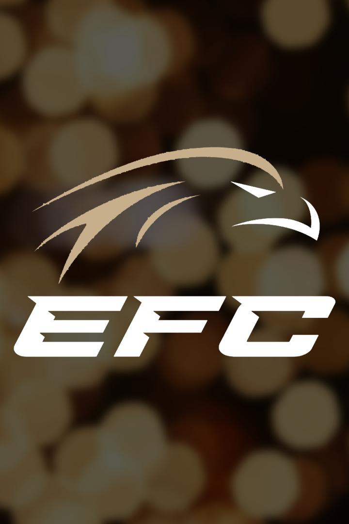 Смешанные единоборства. Eagle FC 42. Александр Шлеменко против Артура Гусейнова. Ренат Хавалов против Патрисио Де Соузы
