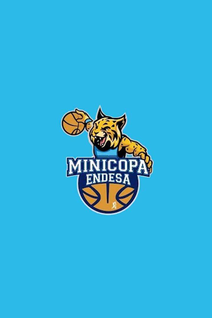 Миникопа Эндеса - Финал. "Реал Мадрид" - "Кахасьете Канариас"
