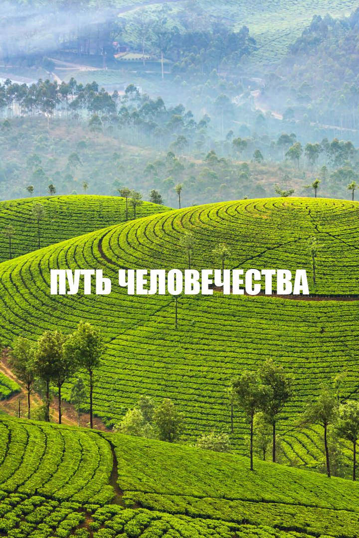 Путь человечества