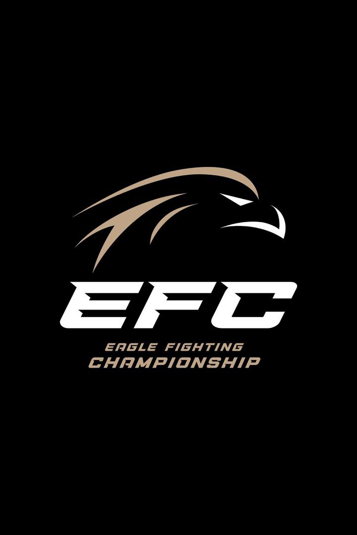 Смешанные единоборства. Eagle FC 42. Александр Шлеменко против Артура Гусейнова