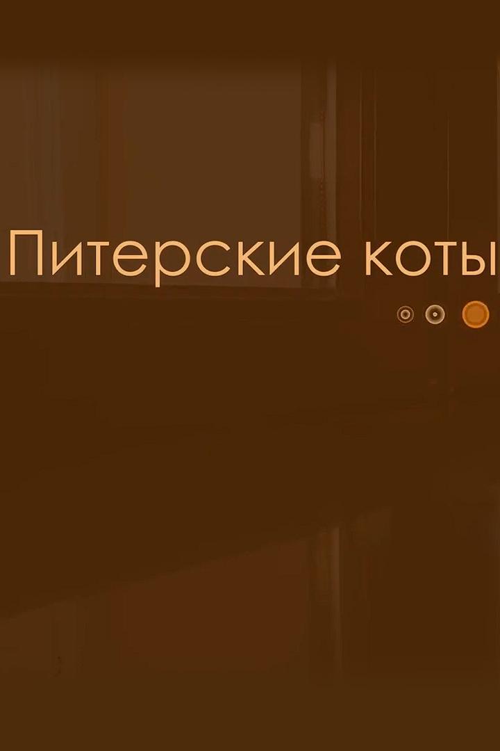 Питерские коты