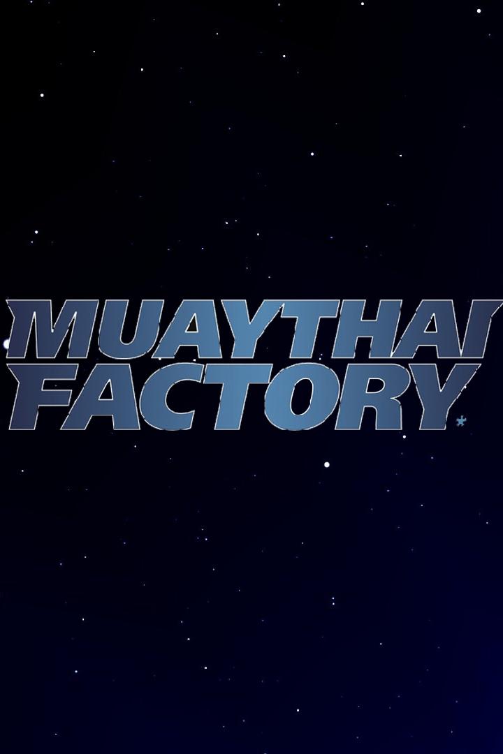 Международный турнир по тайскому боксу Muaythai Factory ("Фабрика муайтай"). Пермь (Россия)