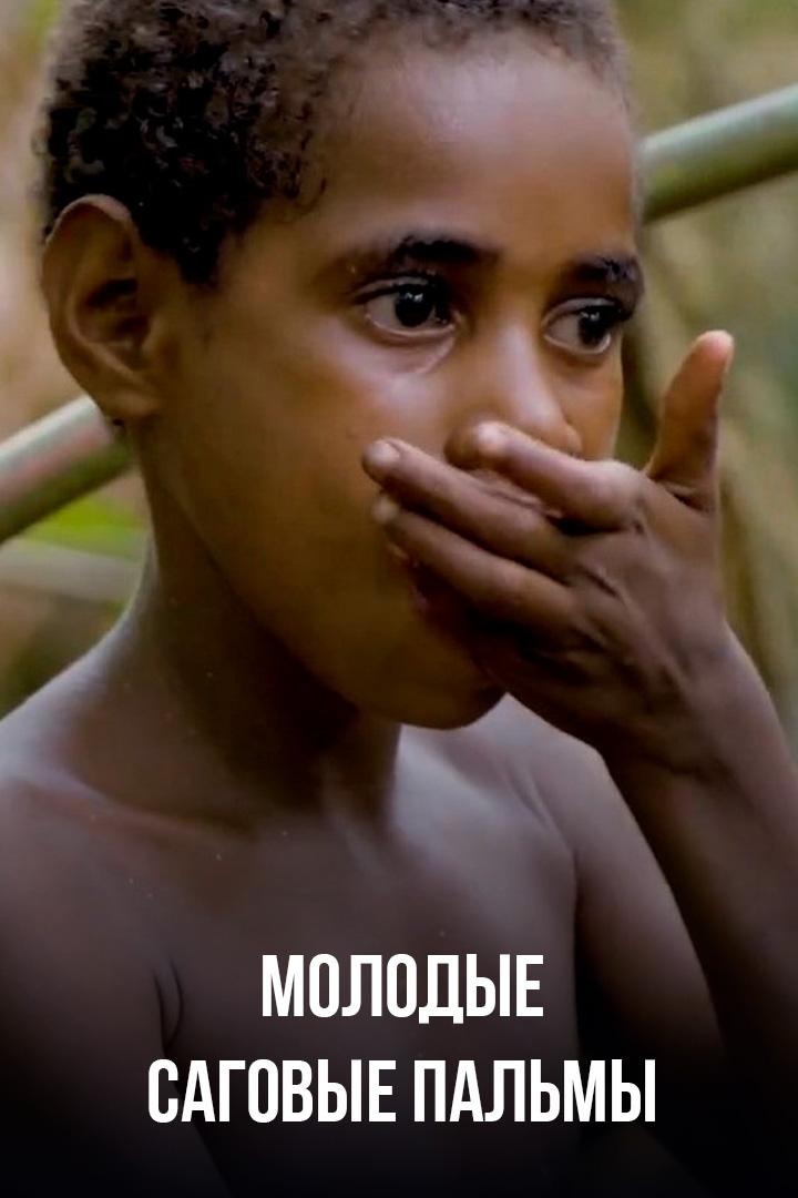 Молодые саговые пальмы