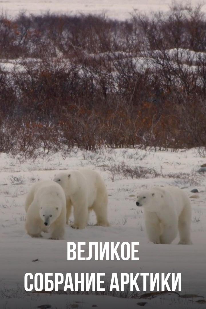 Великое собрание