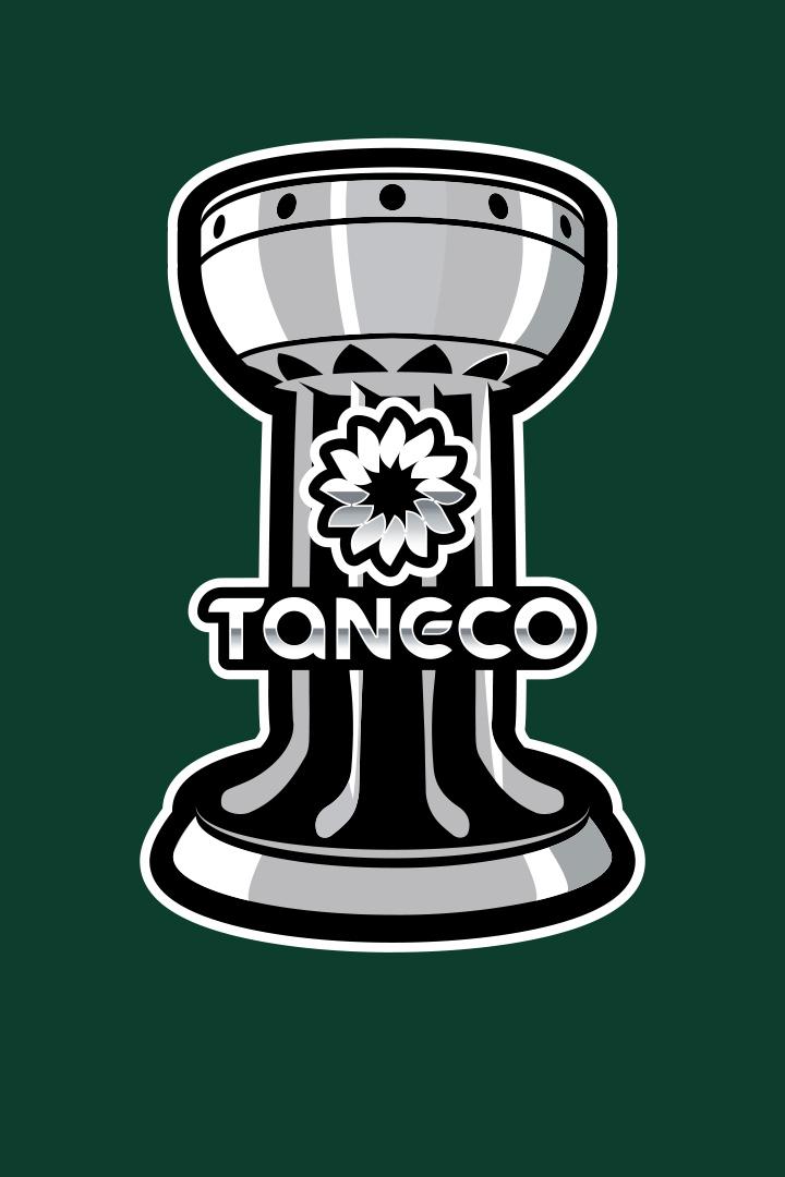 Кубок TANECO. Финал
