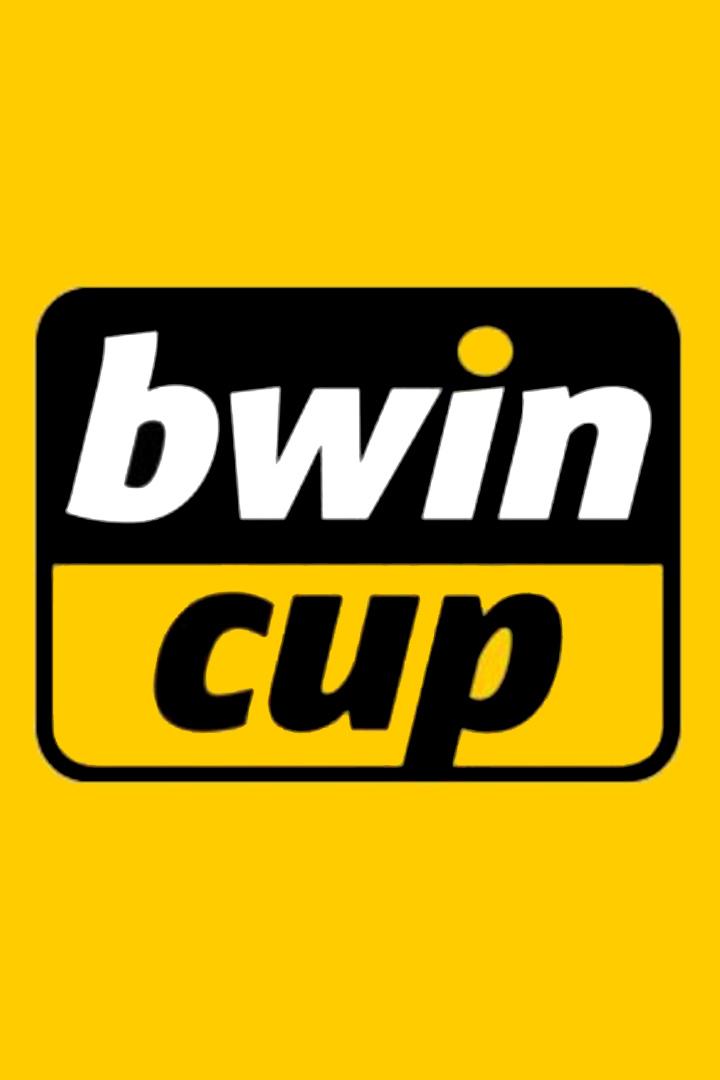 Кубок португальской лиги. Порту - Лейшоэш