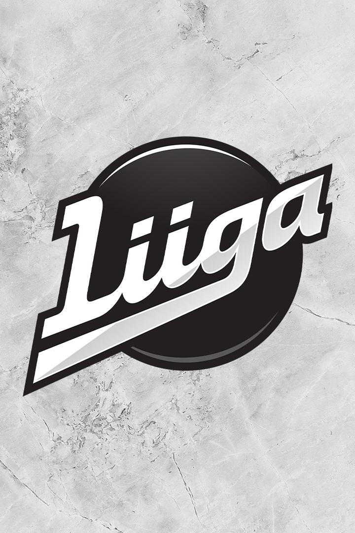 Хоккей Финская Хоккейная Лига. Плей-офф 2023/24. Серия 1/4 финала. Пеликанс (Лахти) - ХИФК (Хельсинки). Матч 1