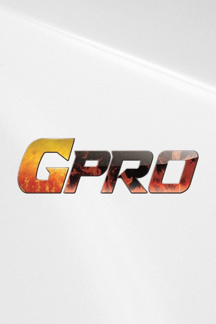 Тайский бокс. Чемпионат по боевым исскуствам GPRO 47