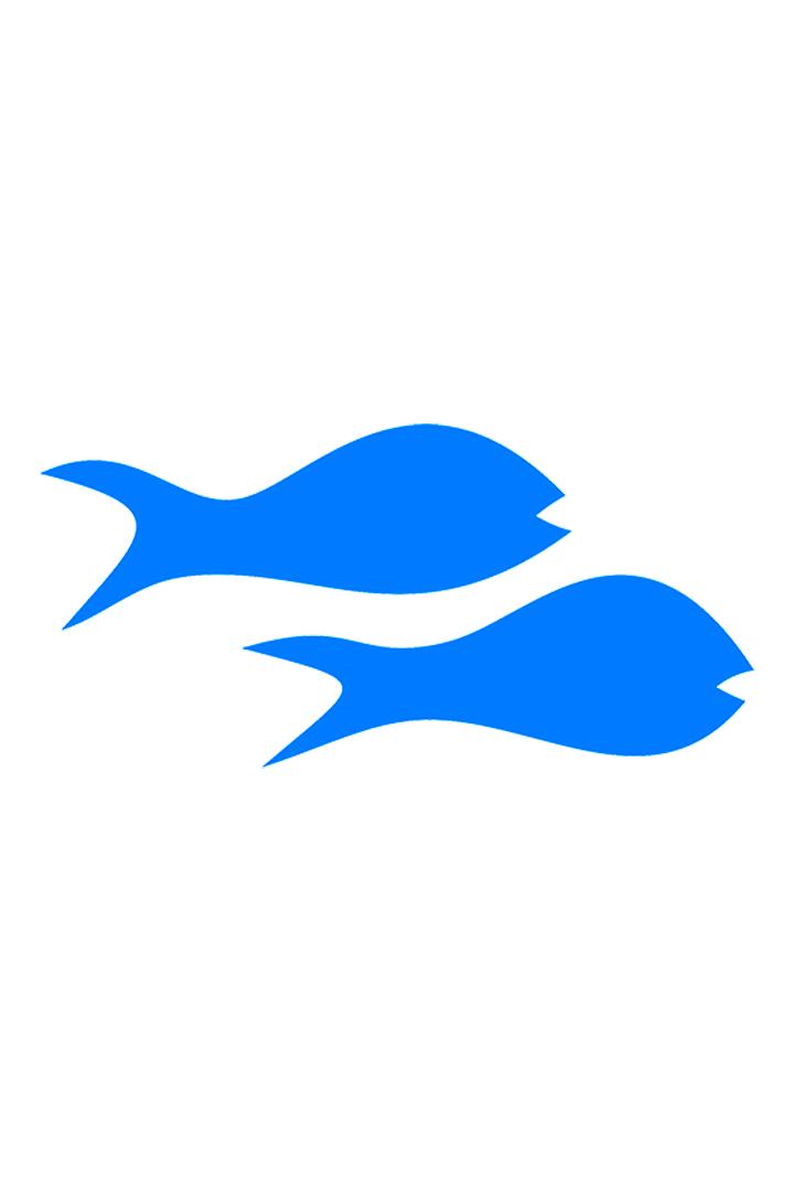 Snappers. Прямые трансляции по всему миру
