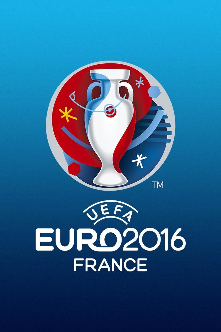 Чемпионат Европы-2016. 1/8 финала. Венгрия - Бельгия. Трансляция из Франции