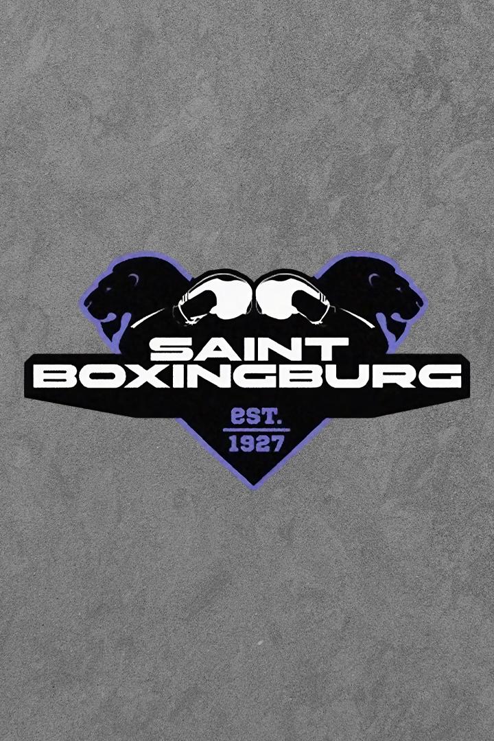 Профессиональный бокс. МЕЛБЕТ. Saint boxingburg. Алексей Мазур против Тиграна Узляна. Илья Попов против Тихона Нетесова.Трансляция из Санкт-Петербурга