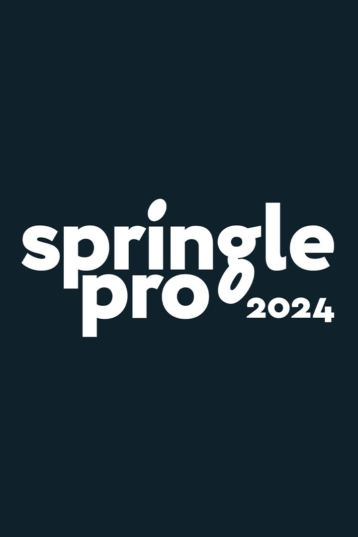 Алтимат. Springle Pro 2024. Финал. Девушки