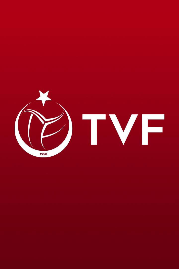 Волейбол. Суперкубок Турции. Мужчины. Халкбанк - Аркаспор